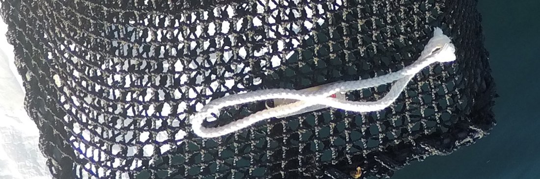 4 mm bomullstråd. Foto: Langedal / Fiskeridirektoratet